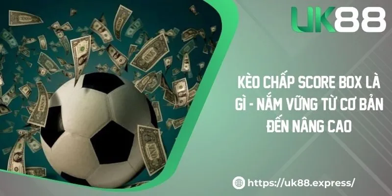 Kèo Chấp Score Box Là Gì - Nắm Vững Từ Cơ Bản Đến Nâng Cao